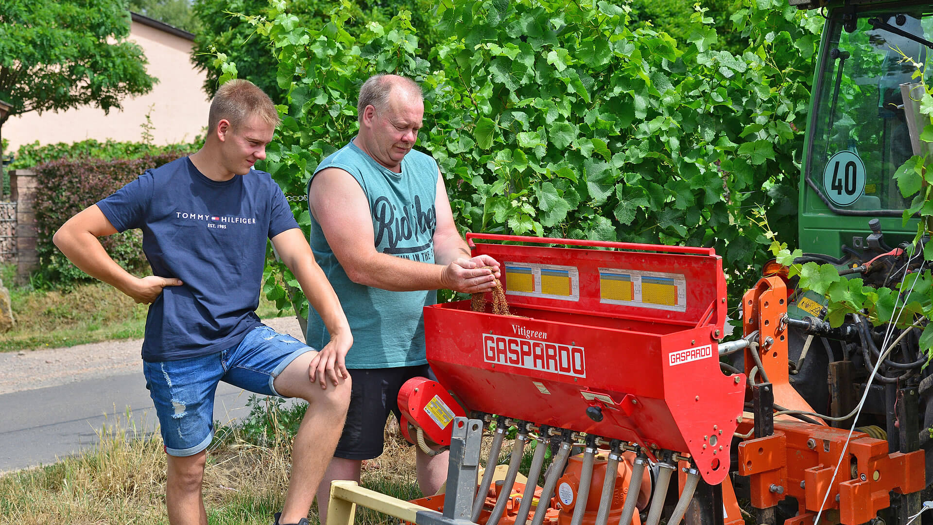 Weingut Molitor